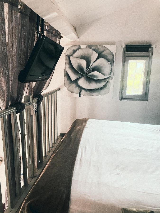 Auberge Des Pins Tourrettes Εξωτερικό φωτογραφία